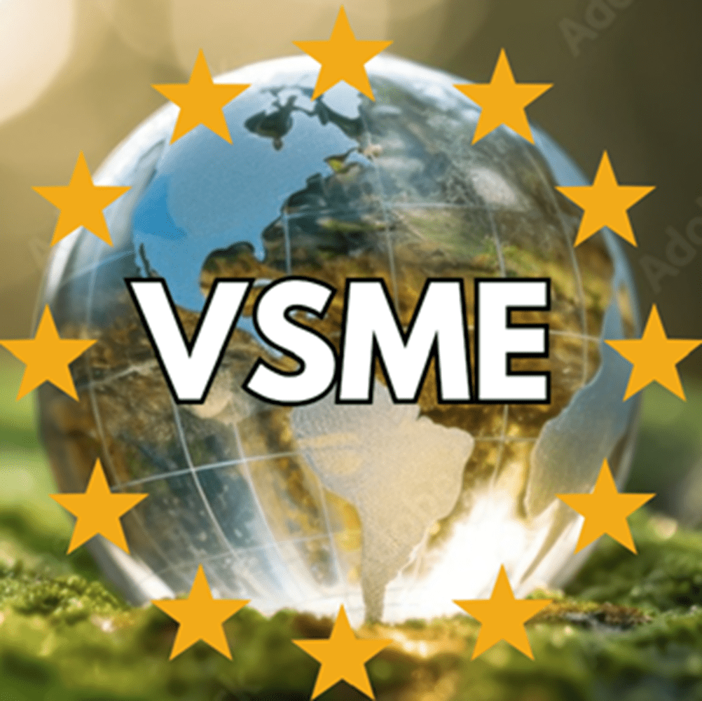 Formation VSME GHRECIA norme de rapport de durabilité volontaire